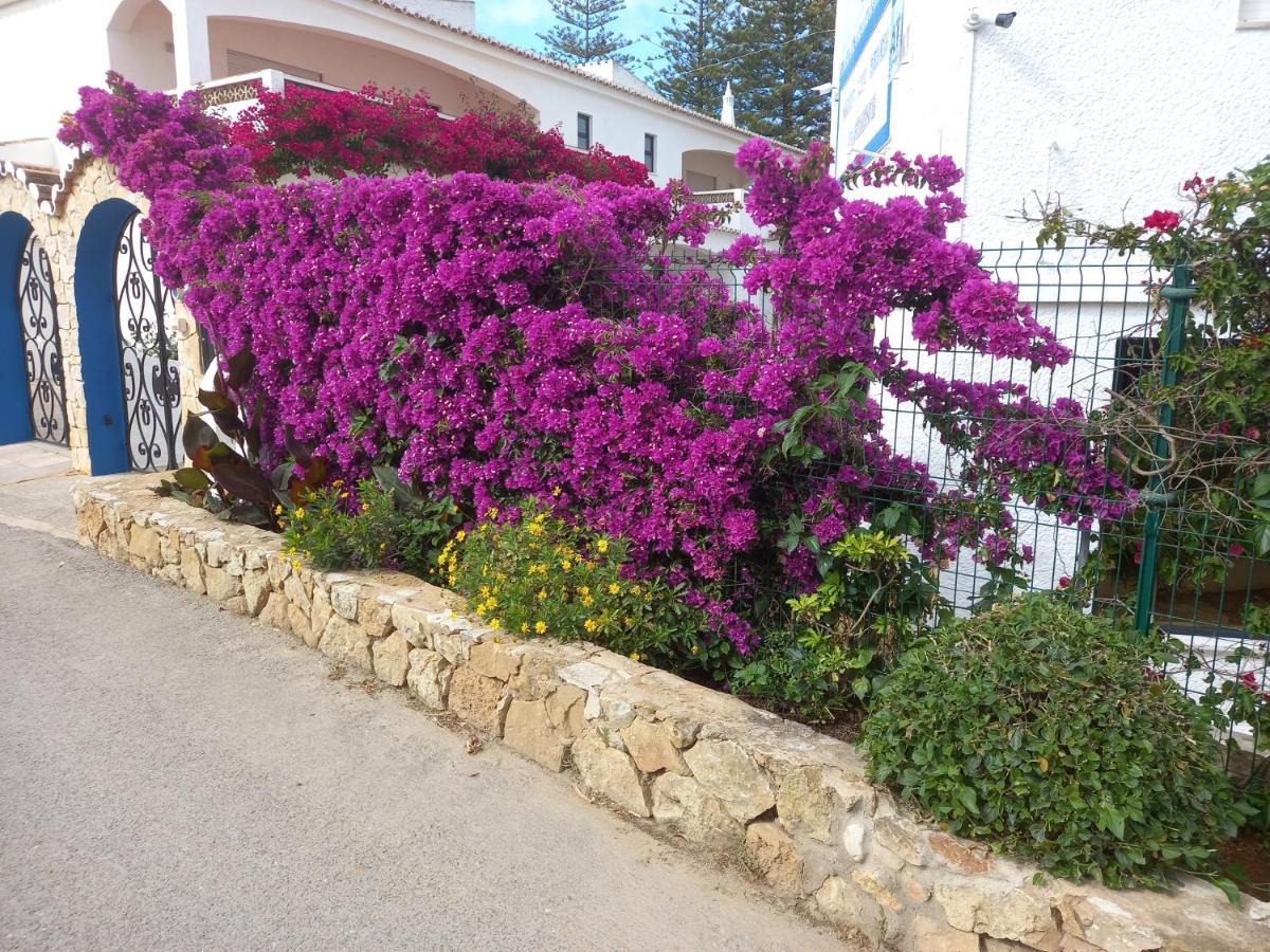 La Calypso Homestay